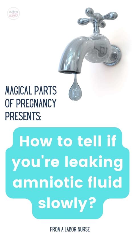 how do you know if your leaking amniotic fluid|Amniotic Fluid: What is It and Signs of。